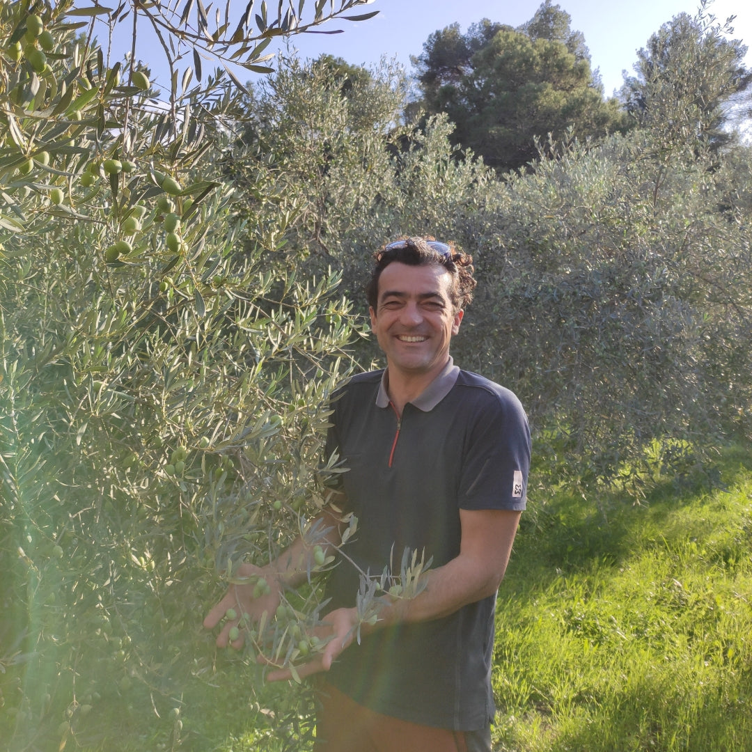 AOP Mâturé noir BIO - Provence